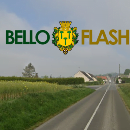 Flash Bellovisien