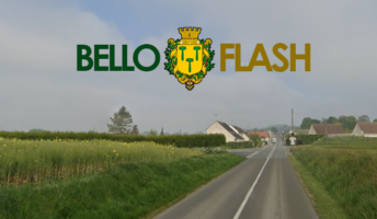 Flash Bellovisien